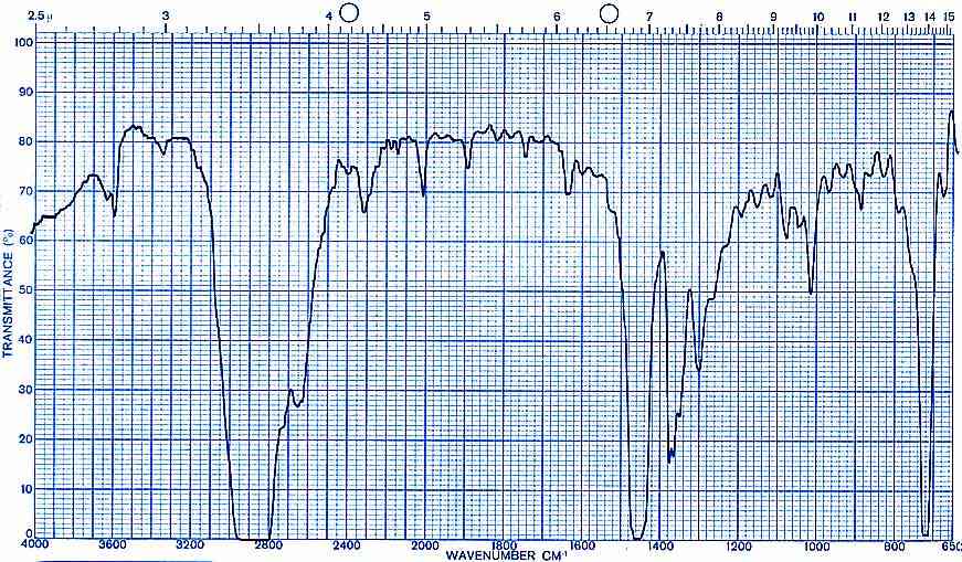 Optik2-IR-75dpi.jpg (165949 Byte)